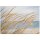 A.S. Création Leinwandbild Dune grass Größe 70cm x 50cm