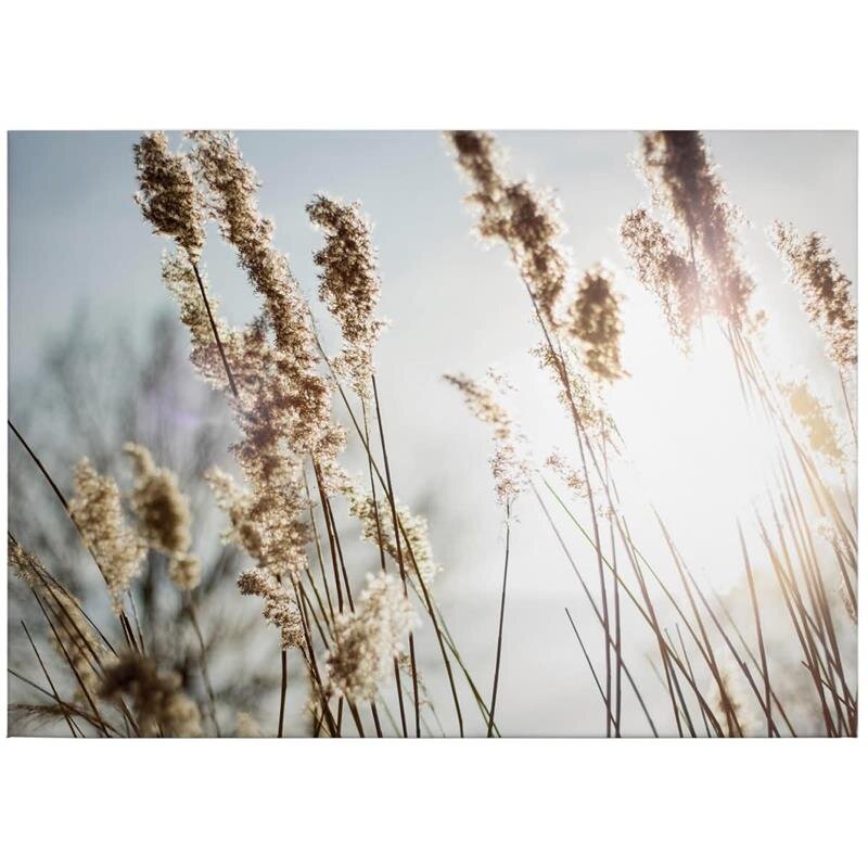 A.S. Création Leinwandbild Pampas grass Größe 70cm x 50cm