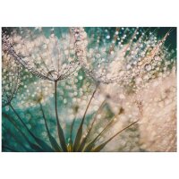 A.S. Cr&eacute;ation Leinwandbild Delgado...