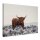 A.S. Création Leinwandbild Highlander Größe 70cm x 50cm