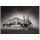 A.S. Création Leinwandbild Duel Größe 70cm x 50cm