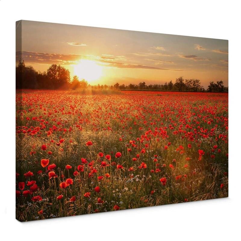 A.S. Création Leinwandbild Poppy Field Größe 70cm x 50cm