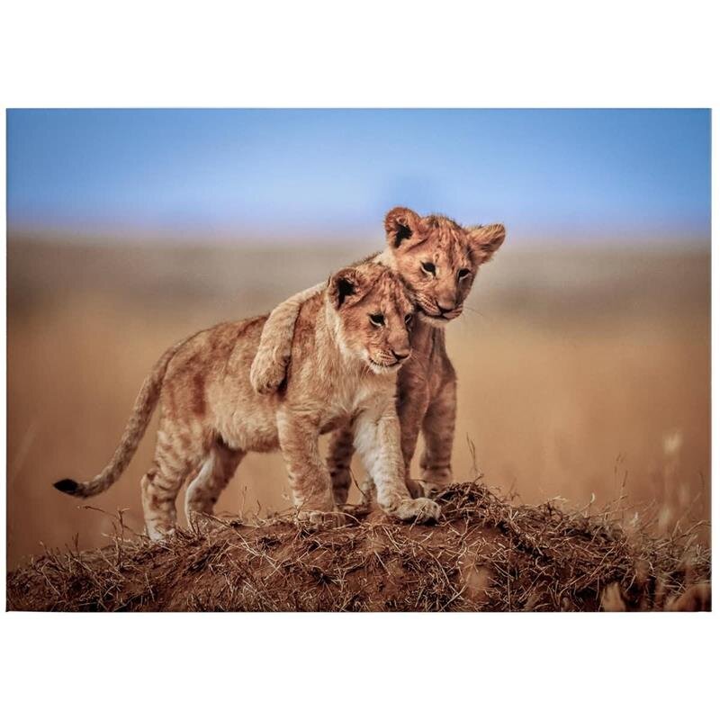 A.S. Création Leinwandbild Brothers Größe 70cm x 50cm