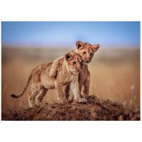 A.S. Cr&eacute;ation Leinwandbild Brothers...