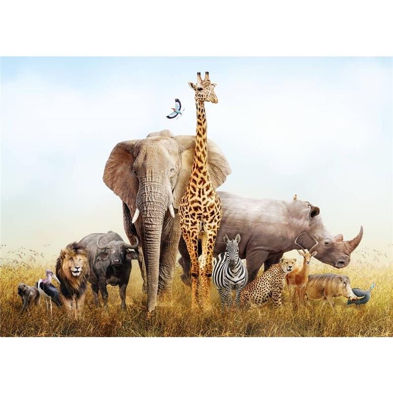 A.S. Création Leinwandbild African Animals Größe 70cm x 50cm