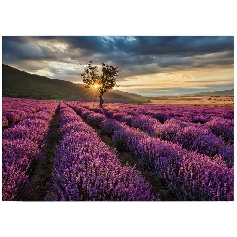A.S. Création Leinwandbild LavenderFields Größe 70cm x 50cm