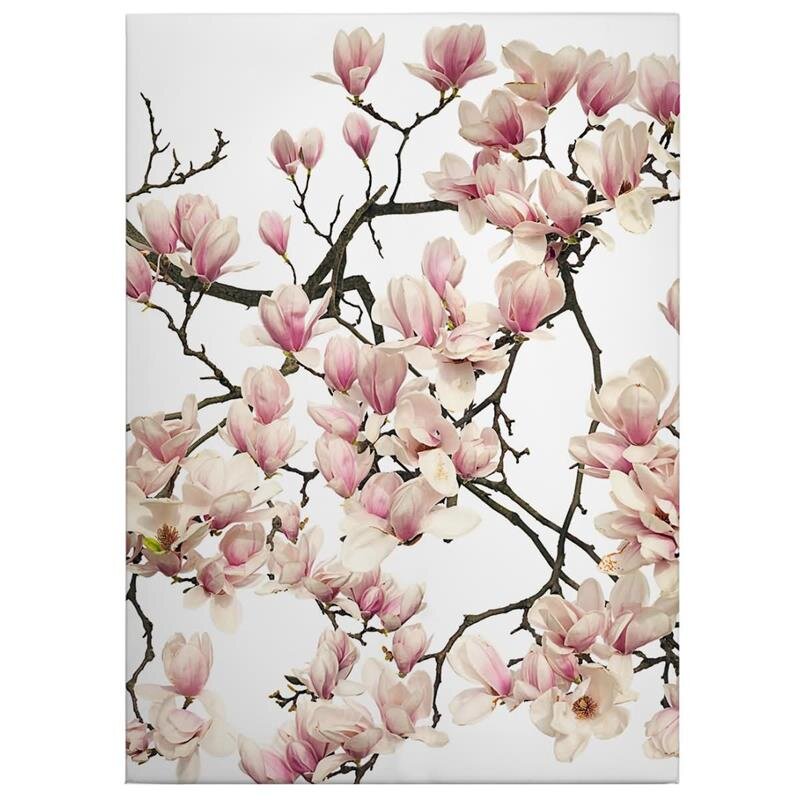 A.S. Création Leinwandbild Flora Magnolia Größe 50cm x 70cm