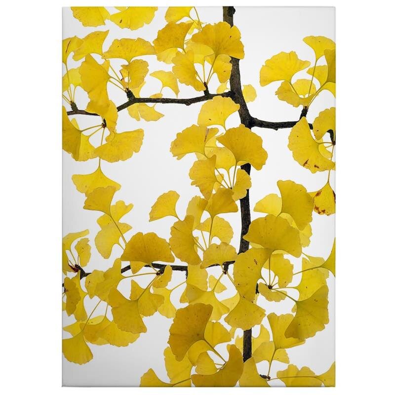 A.S. Création Leinwandbild Flora Ginko Größe 50cm x 70cm