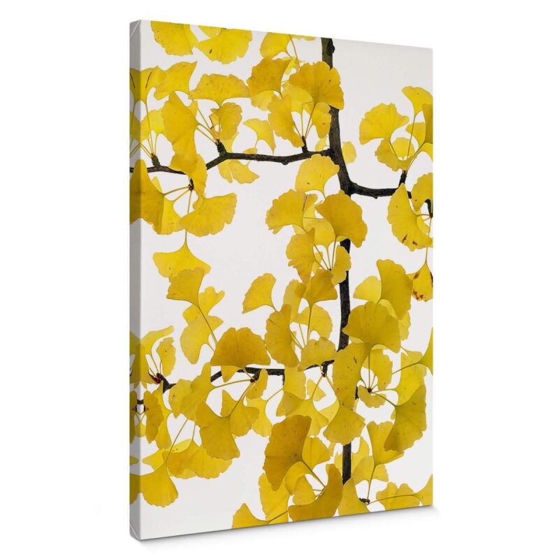 A.S. Création Leinwandbild Flora Ginko Größe 50cm x 70cm