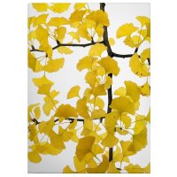 A.S. Cr&eacute;ation Leinwandbild Flora Ginko...
