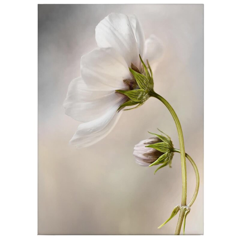 A.S. Création Leinwandbild Cosmos Größe 50cm x 70cm