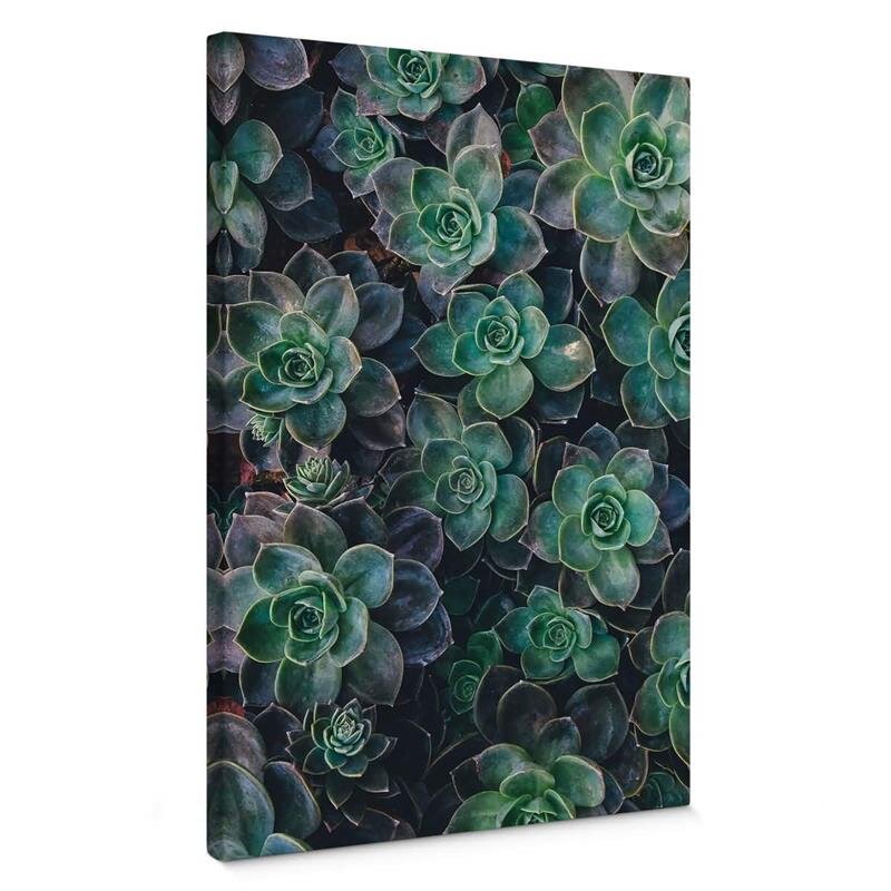 A.S. Création Leinwandbild Succulents Größe 50cm x 70cm