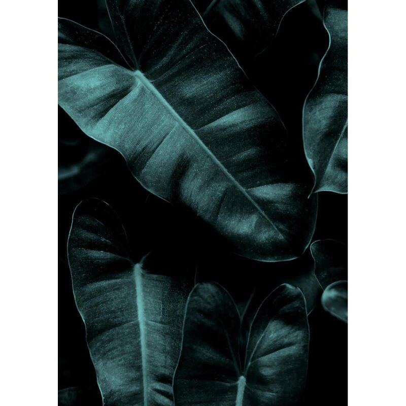 A.S. Création Leinwandbild Jungle Größe 50cm x 70cm