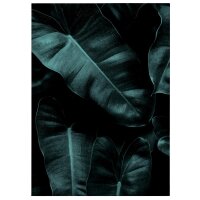 A.S. Cr&eacute;ation Leinwandbild Jungle Gr&ouml;&szlig;e...