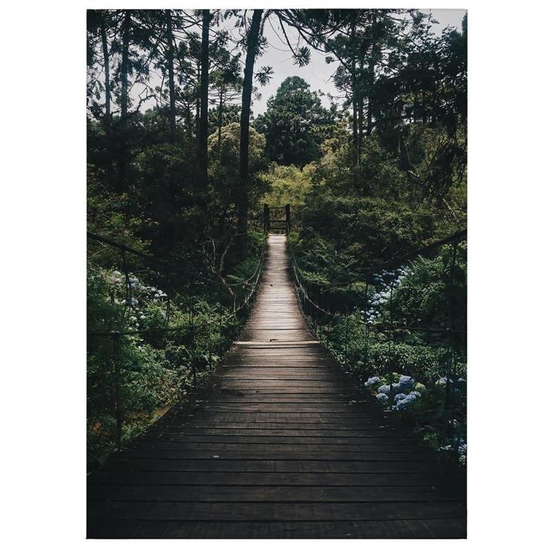 A.S. Création Leinwandbild Forest Road Größe 50cm x 70cm