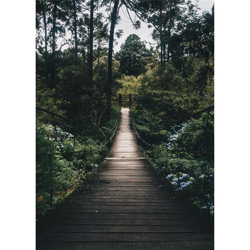 A.S. Création Leinwandbild Forest Road Größe 50cm x 70cm