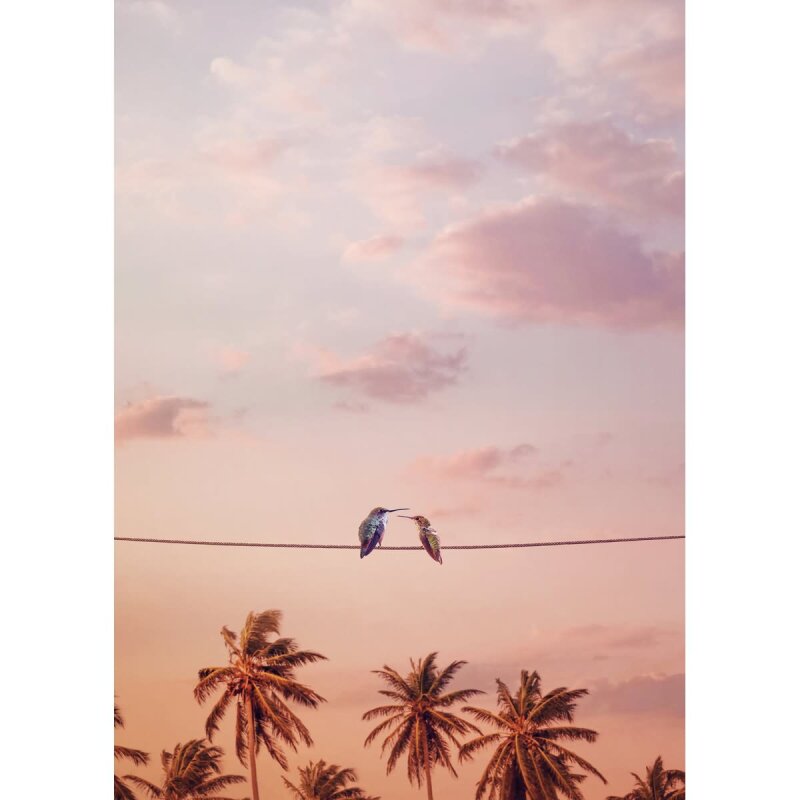 A.S. Création Leinwandbild Hummingbirds Größe 50cm x 70cm