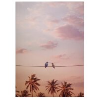 A.S. Cr&eacute;ation Leinwandbild Hummingbirds...