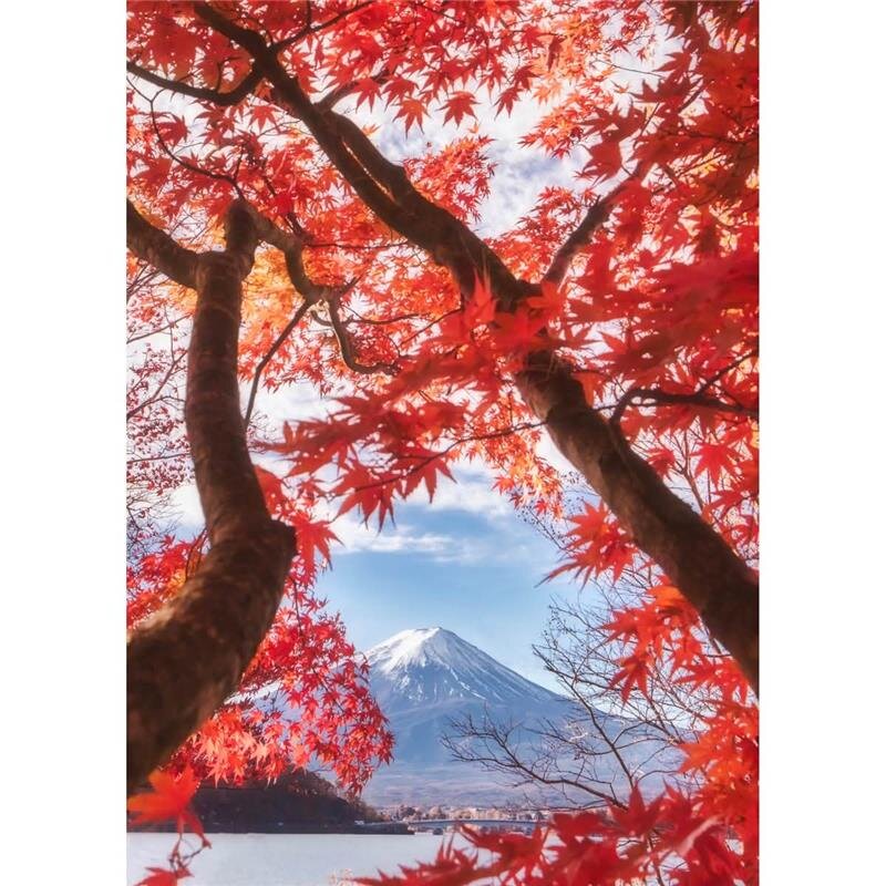 A.S. Création Leinwandbild Red leaves Größe 50cm x 70cm