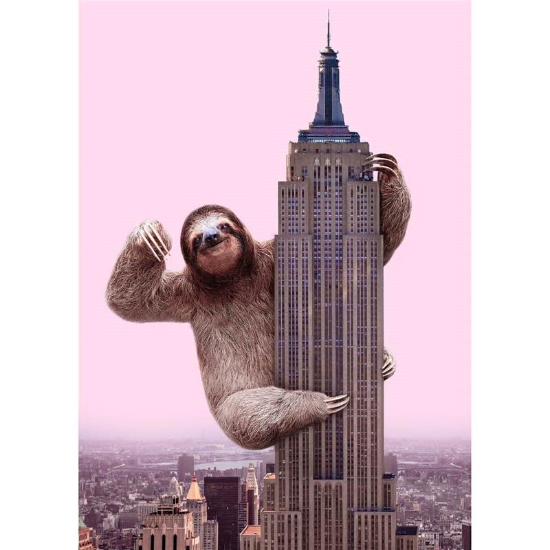 A.S. Création Leinwandbild King Sloth Größe 50cm x 70cm