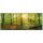 A.S. Création Leinwandbild Deep forest Größe 100cm x 40cm