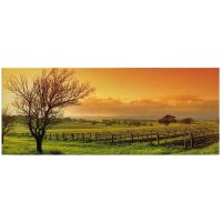 A.S. Cr&eacute;ation Leinwandbild Vineyard...