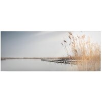A.S. Cr&eacute;ation Leinwandbild ReedsOnTheLake...