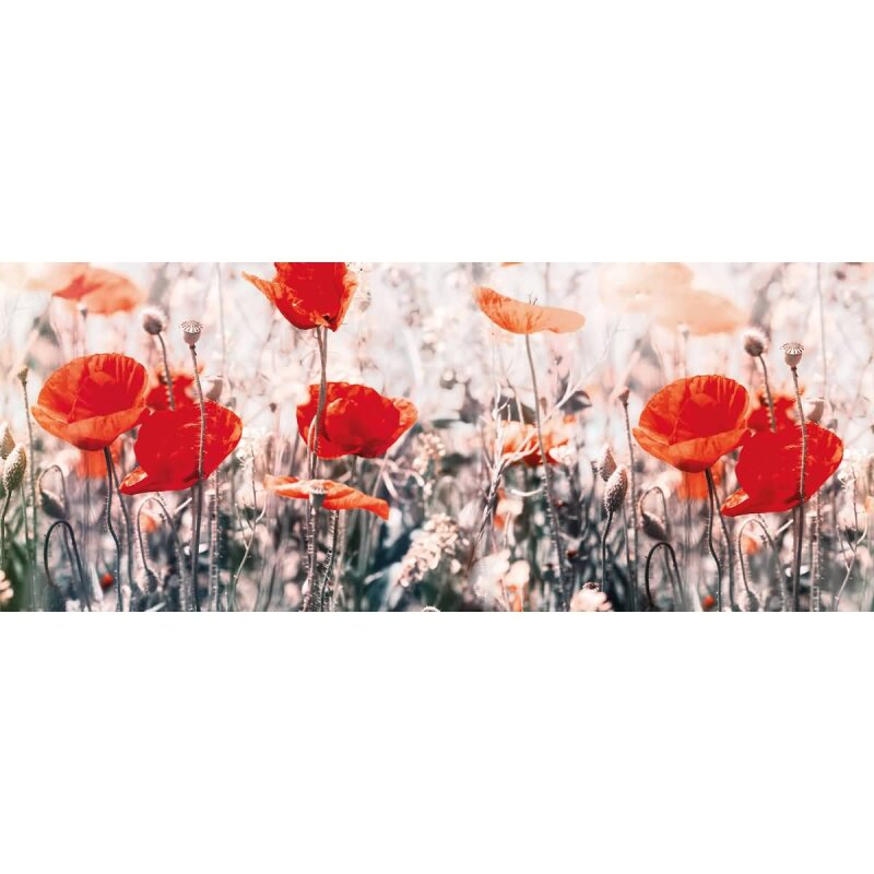 A.S. Création Leinwandbild Wild poppies Größe 100cm x 40cm