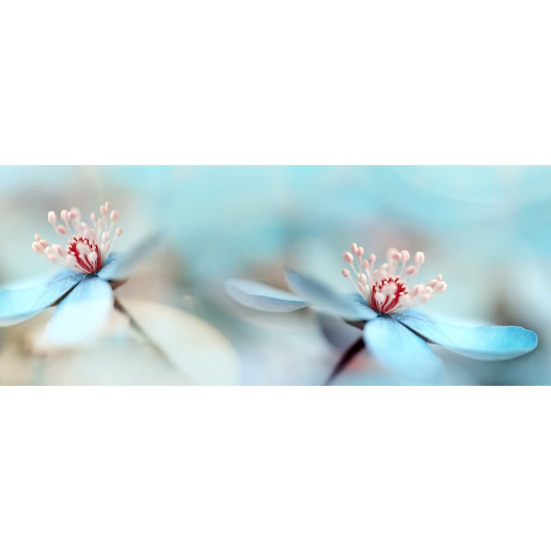 A.S. Création Leinwandbild DelicateFlower Größe 100cm x 40cm