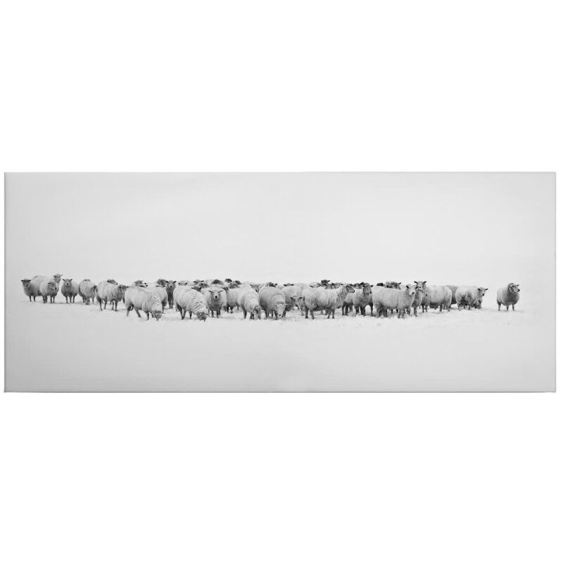 A.S. Création Leinwandbild Herd of Sheep Größe 100cm x 40cm