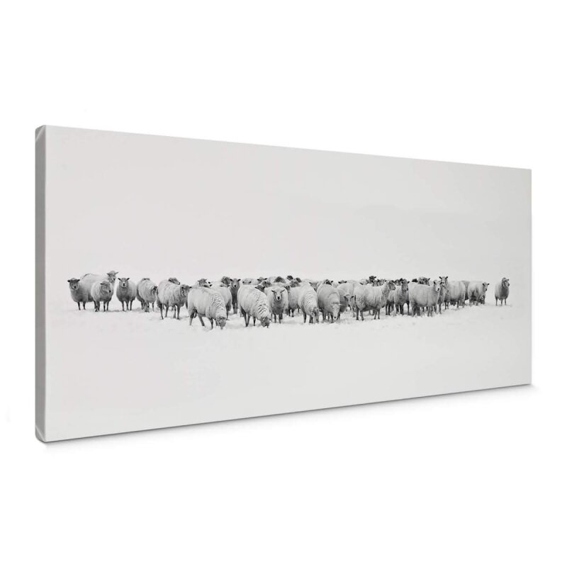 A.S. Création Leinwandbild Herd of Sheep Größe 100cm x 40cm