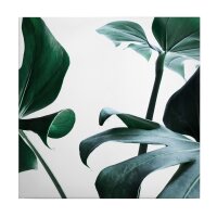 A.S. Cr&eacute;ation Leinwandbild MonsteraDelici...