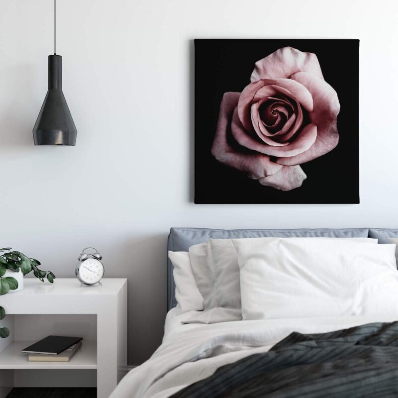 A.S. Création Leinwandbild Single rose Größe 50cm x 50cm