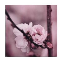 A.S. Cr&eacute;ation Leinwandbild Flower buds...