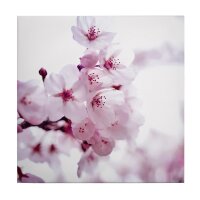 A.S. Cr&eacute;ation Leinwandbild CherryBlossom2...