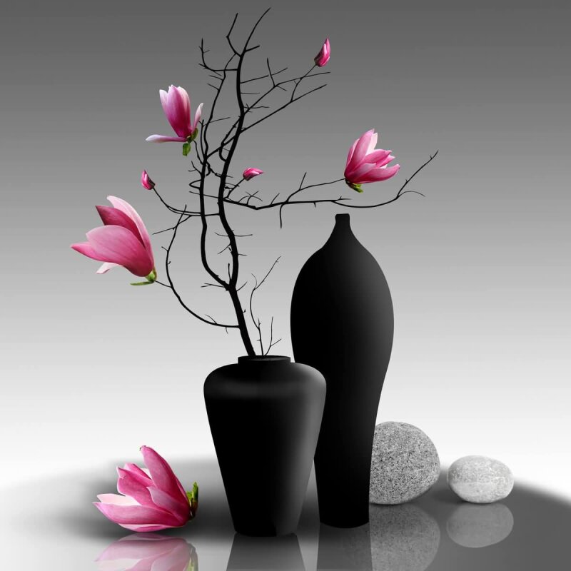 A.S. Création Leinwandbild MagnoliaBranch Größe 50cm x 50cm