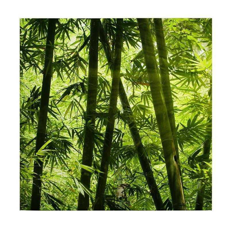 A.S. Création Leinwandbild bamboo forest Größe 50cm x 50cm