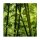 A.S. Création Leinwandbild bamboo forest Größe 50cm x 50cm