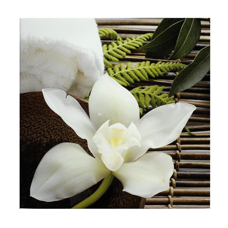 A.S. Création Leinwandbild Orchidee Größe 50cm x 50cm