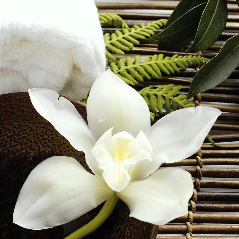 A.S. Création Leinwandbild Orchidee Größe 50cm x 50cm