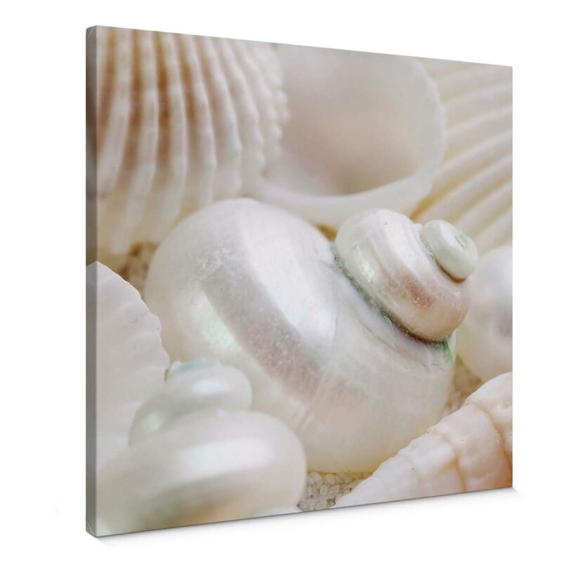 A.S. Création Leinwandbild Pearls Größe 50cm x 50cm