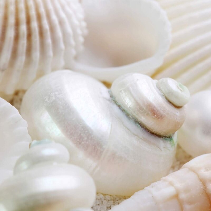 A.S. Création Leinwandbild Pearls Größe 50cm x 50cm