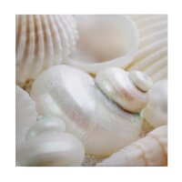 A.S. Cr&eacute;ation Leinwandbild Pearls Gr&ouml;&szlig;e...