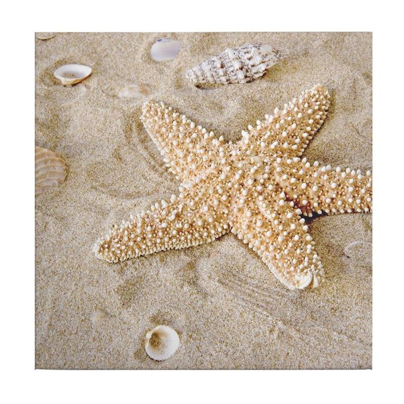 A.S. Création Leinwandbild Patrick Star Größe 50cm x 50cm