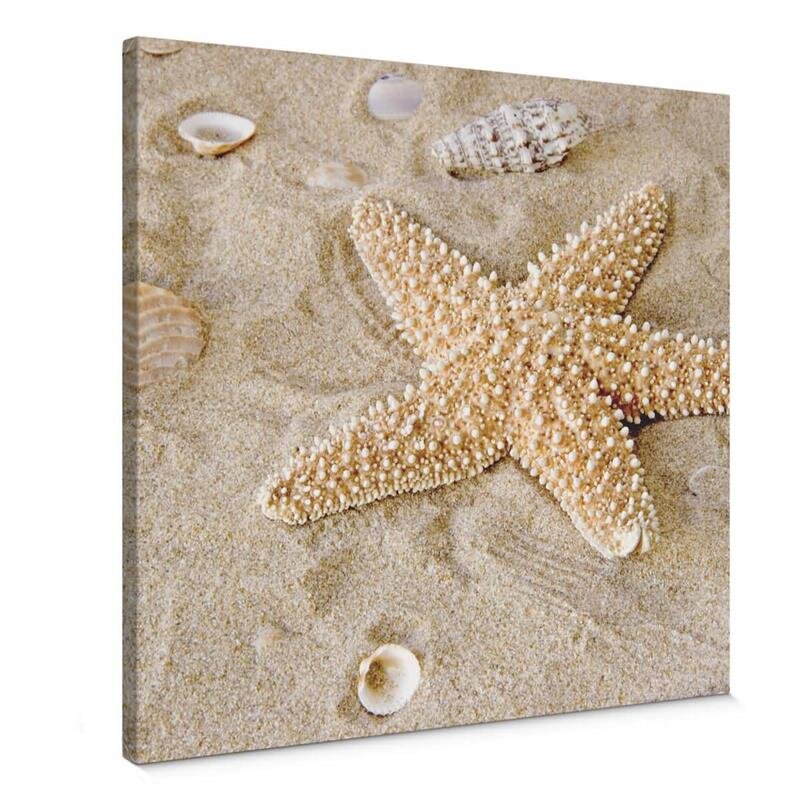 A.S. Création Leinwandbild Patrick Star Größe 50cm x 50cm