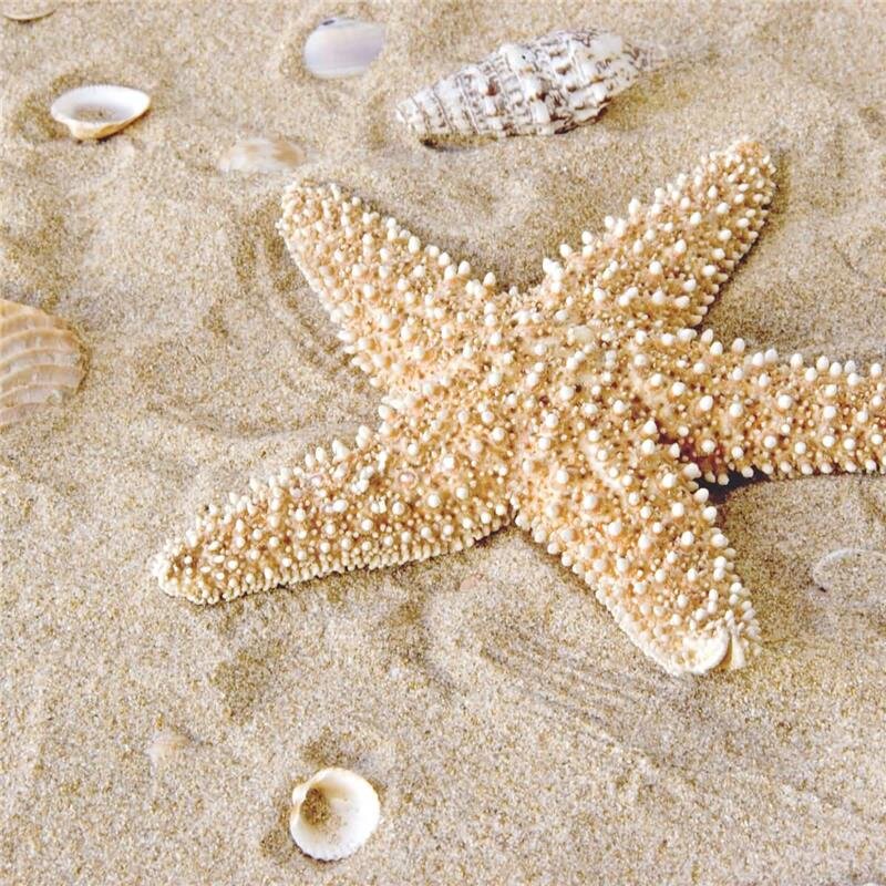 A.S. Création Leinwandbild Patrick Star Größe 50cm x 50cm