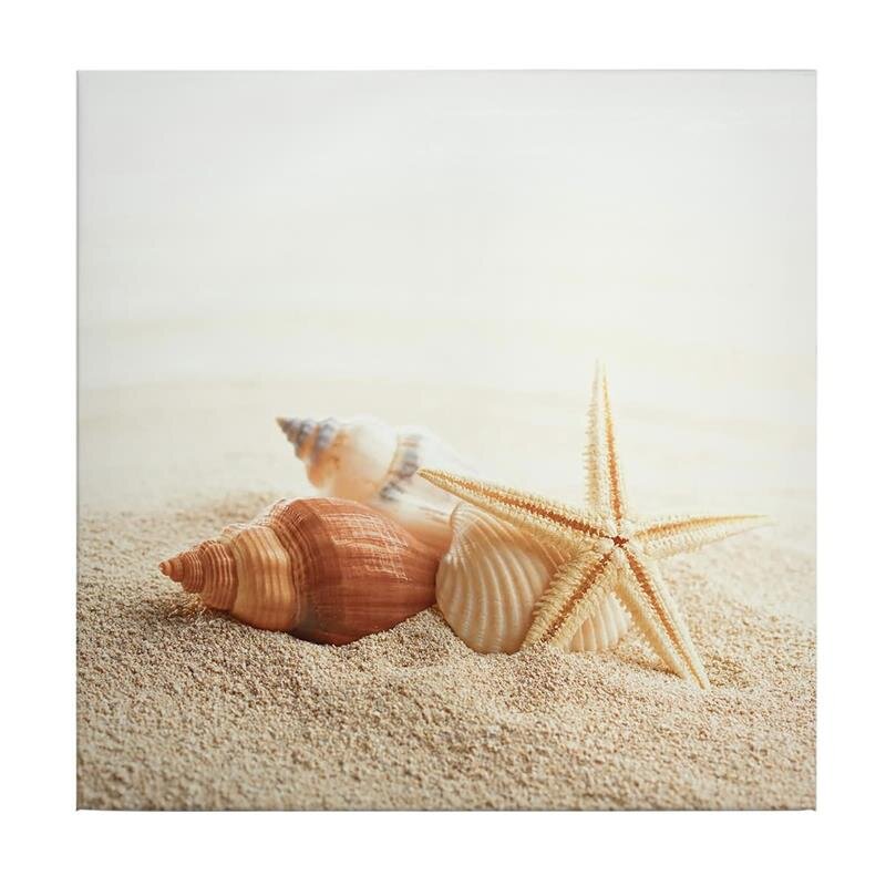 A.S. Création Leinwandbild Starfish Größe 50cm x 50cm