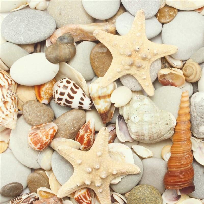 A.S. Création Leinwandbild ShellAndStone Größe 50cm x 50cm