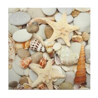 A.S. Cr&eacute;ation Leinwandbild ShellAndStone...