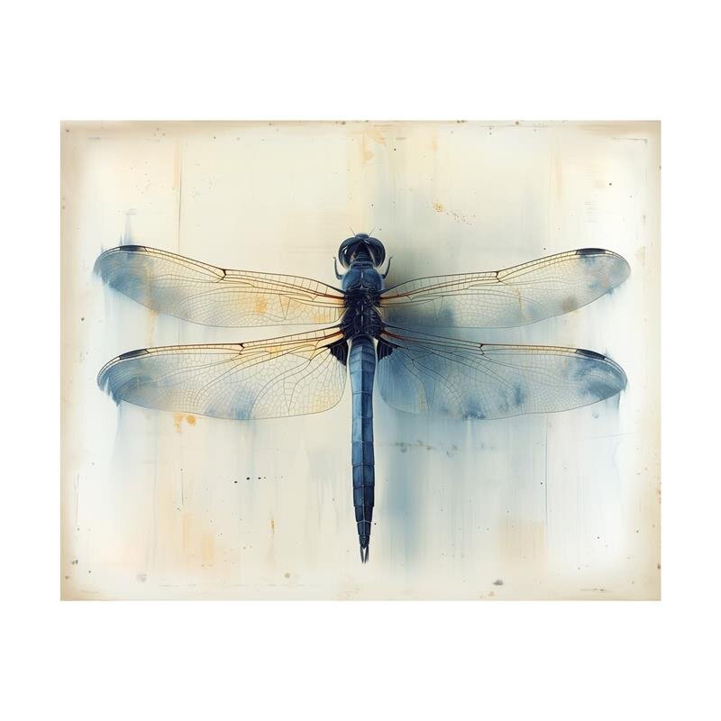 A.S. Création Leinwandbild Dragonfly Größe 50cm x 40cm